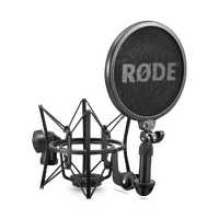 NT2-A Multi-pattern Large-diaphragm Condenser Microphone